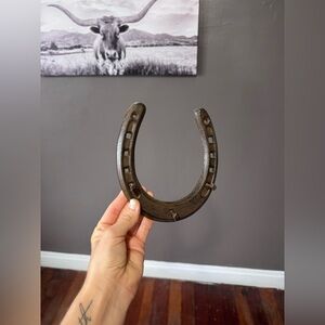 Horse shoe Necklace Holder